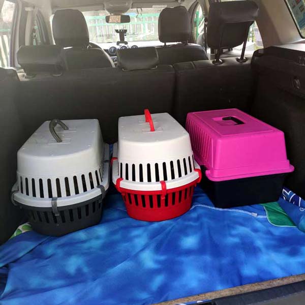 Állatszállítás Balatonszéplak Taxi